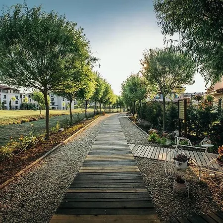 Line * Созополь